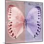 Miss Butterfly Formosana Sq - Red & Mauve-Philippe Hugonnard-Mounted Photographic Print