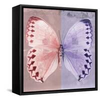 Miss Butterfly Formosana Sq - Red & Mauve-Philippe Hugonnard-Framed Stretched Canvas