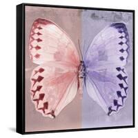 Miss Butterfly Formosana Sq - Red & Mauve-Philippe Hugonnard-Framed Stretched Canvas