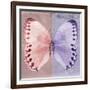 Miss Butterfly Formosana Sq - Red & Mauve-Philippe Hugonnard-Framed Photographic Print