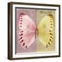 Miss Butterfly Formosana Sq - Red & Yellow-Philippe Hugonnard-Framed Photographic Print