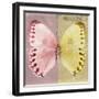 Miss Butterfly Formosana Sq - Red & Yellow-Philippe Hugonnard-Framed Photographic Print