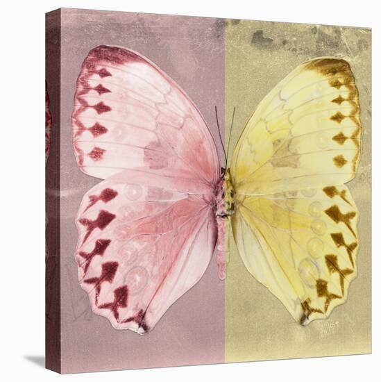 Miss Butterfly Formosana Sq - Red & Yellow-Philippe Hugonnard-Stretched Canvas