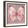 Miss Butterfly Formosana Sq - Red-Philippe Hugonnard-Framed Photographic Print