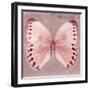 Miss Butterfly Formosana Sq - Red-Philippe Hugonnard-Framed Photographic Print