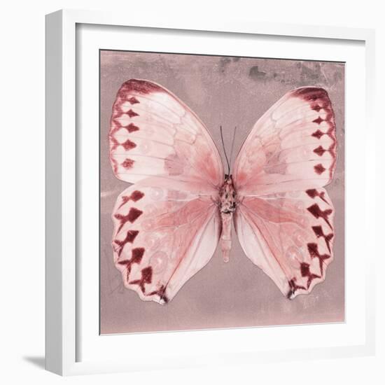 Miss Butterfly Formosana Sq - Red-Philippe Hugonnard-Framed Photographic Print