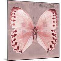 Miss Butterfly Formosana Sq - Red-Philippe Hugonnard-Mounted Photographic Print