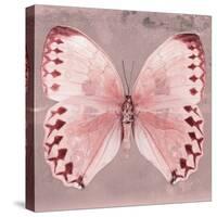 Miss Butterfly Formosana Sq - Red-Philippe Hugonnard-Stretched Canvas