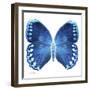 Miss Butterfly Formosana Sq - X-Ray White Edition-Philippe Hugonnard-Framed Photographic Print