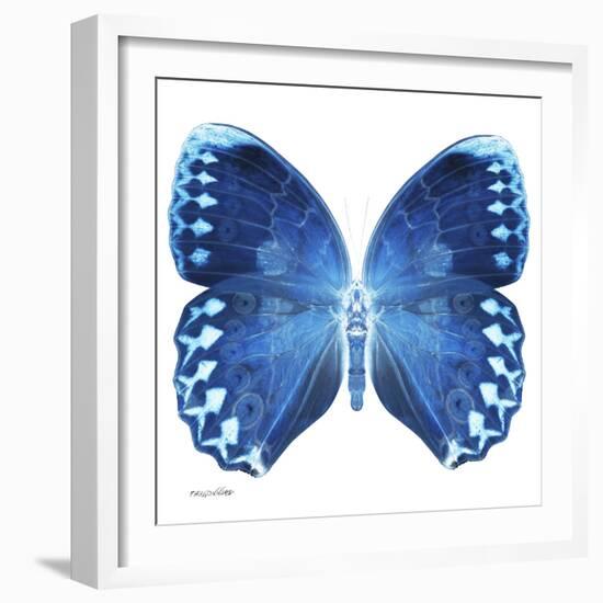 Miss Butterfly Formosana Sq - X-Ray White Edition-Philippe Hugonnard-Framed Photographic Print