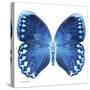 Miss Butterfly Formosana Sq - X-Ray White Edition-Philippe Hugonnard-Stretched Canvas