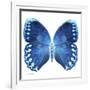 Miss Butterfly Formosana Sq - X-Ray White Edition-Philippe Hugonnard-Framed Photographic Print