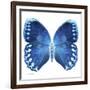 Miss Butterfly Formosana Sq - X-Ray White Edition-Philippe Hugonnard-Framed Photographic Print