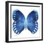 Miss Butterfly Formosana Sq - X-Ray White Edition-Philippe Hugonnard-Framed Photographic Print