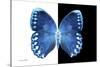 Miss Butterfly Formosana - X-Ray B&W Edition-Philippe Hugonnard-Stretched Canvas