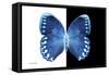 Miss Butterfly Formosana - X-Ray B&W Edition-Philippe Hugonnard-Framed Stretched Canvas