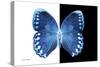 Miss Butterfly Formosana - X-Ray B&W Edition-Philippe Hugonnard-Stretched Canvas