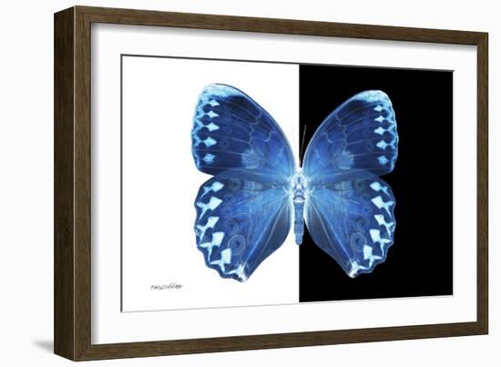 Miss Butterfly Formosana - X-Ray B&W Edition-Philippe Hugonnard-Framed Photographic Print