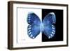 Miss Butterfly Formosana - X-Ray B&W Edition-Philippe Hugonnard-Framed Photographic Print