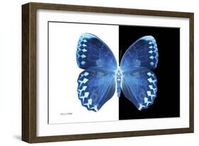 Miss Butterfly Formosana - X-Ray B&W Edition-Philippe Hugonnard-Framed Photographic Print