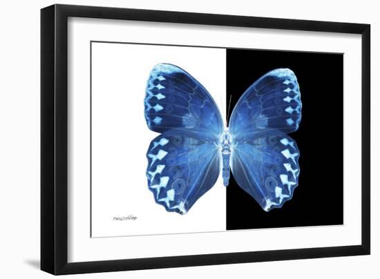 Miss Butterfly Formosana - X-Ray B&W Edition-Philippe Hugonnard-Framed Photographic Print