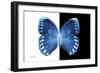 Miss Butterfly Formosana - X-Ray B&W Edition-Philippe Hugonnard-Framed Photographic Print