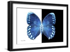 Miss Butterfly Formosana - X-Ray B&W Edition-Philippe Hugonnard-Framed Photographic Print