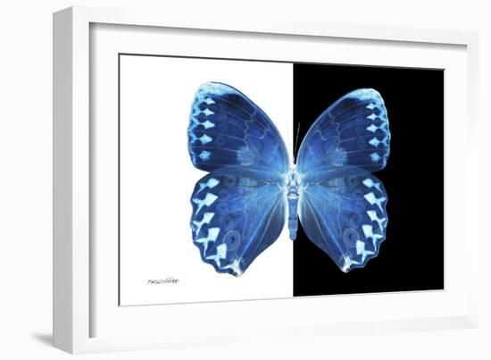 Miss Butterfly Formosana - X-Ray B&W Edition-Philippe Hugonnard-Framed Photographic Print