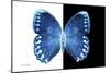 Miss Butterfly Formosana - X-Ray B&W Edition-Philippe Hugonnard-Mounted Photographic Print