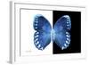 Miss Butterfly Formosana - X-Ray B&W Edition-Philippe Hugonnard-Framed Photographic Print