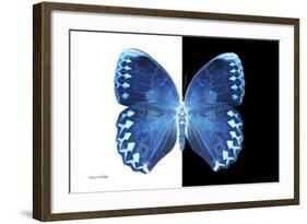 Miss Butterfly Formosana - X-Ray B&W Edition-Philippe Hugonnard-Framed Photographic Print