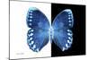 Miss Butterfly Formosana - X-Ray B&W Edition-Philippe Hugonnard-Mounted Photographic Print