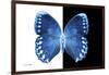 Miss Butterfly Formosana - X-Ray B&W Edition-Philippe Hugonnard-Framed Photographic Print