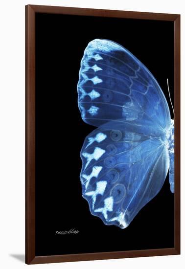Miss Butterfly Formosana - X-Ray Left Black Edition-Philippe Hugonnard-Framed Photographic Print