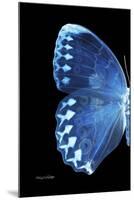 Miss Butterfly Formosana - X-Ray Left Black Edition-Philippe Hugonnard-Mounted Premium Photographic Print