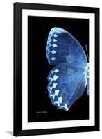 Miss Butterfly Formosana - X-Ray Left Black Edition-Philippe Hugonnard-Framed Photographic Print