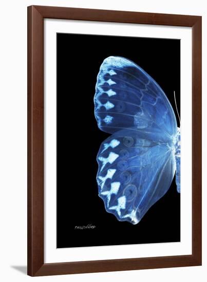 Miss Butterfly Formosana - X-Ray Left Black Edition-Philippe Hugonnard-Framed Photographic Print