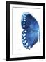 Miss Butterfly Formosana - X-Ray Left White Edition-Philippe Hugonnard-Framed Photographic Print