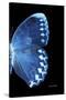 Miss Butterfly Formosana - X-Ray Right Black Edition-Philippe Hugonnard-Stretched Canvas