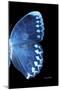 Miss Butterfly Formosana - X-Ray Right Black Edition-Philippe Hugonnard-Mounted Photographic Print