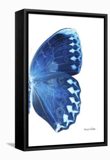 Miss Butterfly Formosana - X-Ray Right White Edition-Philippe Hugonnard-Framed Stretched Canvas