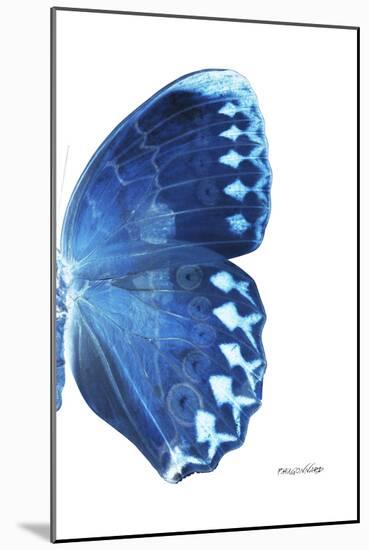 Miss Butterfly Formosana - X-Ray Right White Edition-Philippe Hugonnard-Mounted Photographic Print