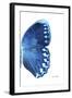 Miss Butterfly Formosana - X-Ray Right White Edition-Philippe Hugonnard-Framed Photographic Print