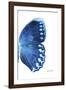 Miss Butterfly Formosana - X-Ray Right White Edition-Philippe Hugonnard-Framed Photographic Print