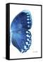 Miss Butterfly Formosana - X-Ray Right White Edition-Philippe Hugonnard-Framed Stretched Canvas