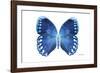 Miss Butterfly Formosana - X-Ray White Edition-Philippe Hugonnard-Framed Photographic Print