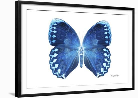 Miss Butterfly Formosana - X-Ray White Edition-Philippe Hugonnard-Framed Photographic Print