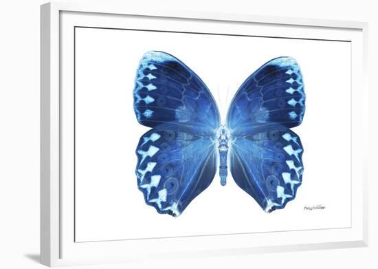 Miss Butterfly Formosana - X-Ray White Edition-Philippe Hugonnard-Framed Photographic Print