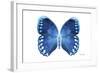 Miss Butterfly Formosana - X-Ray White Edition-Philippe Hugonnard-Framed Photographic Print