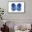 Miss Butterfly Formosana - X-Ray White Edition-Philippe Hugonnard-Framed Stretched Canvas displayed on a wall